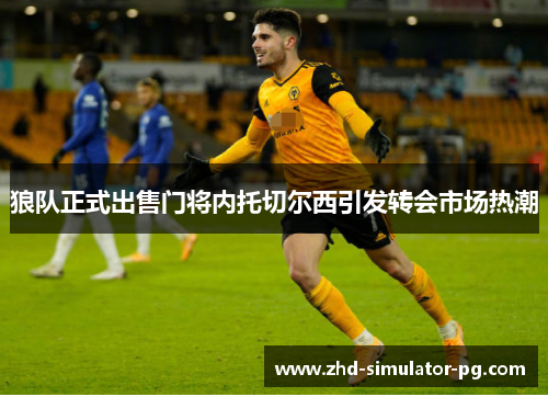 狼队正式出售门将内托切尔西引发转会市场热潮